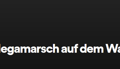 megamarsch auf dem Wasser mit Pascal Rösler
